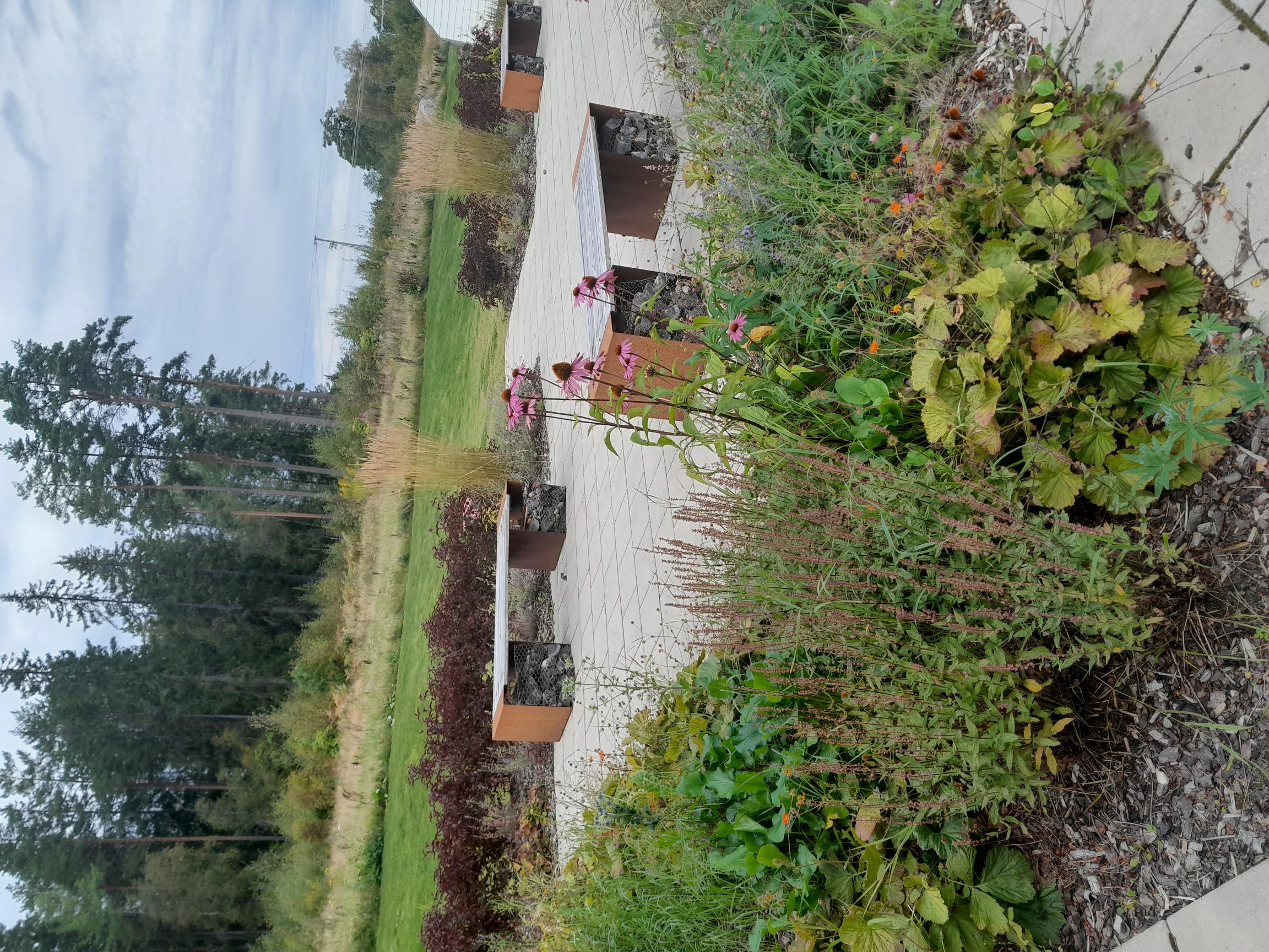 Bild på grönskande sittplats